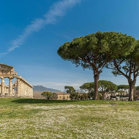 Tatil Evi Eddy Perdifumo