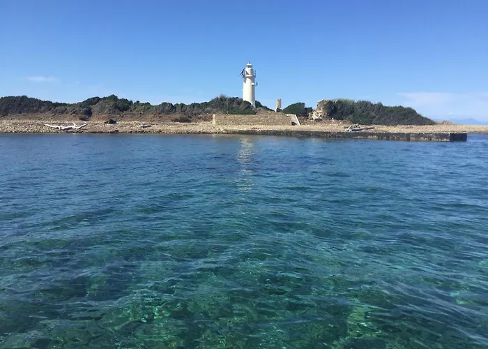 Eddy * 佩尔迪富莫