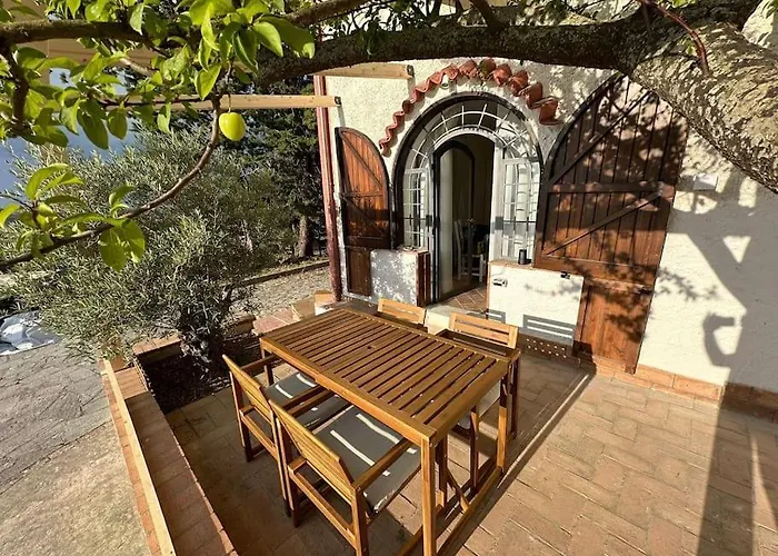 Eddy * 佩尔迪富莫