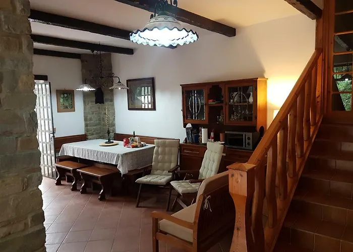 Eddy 佩尔迪富莫