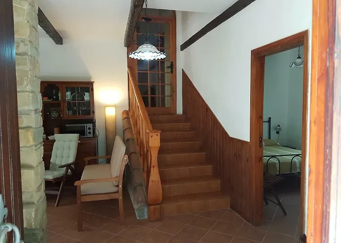 Eddy 佩尔迪富莫